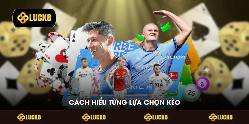 Cách hiểu từng lựa chọn kèo